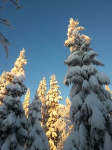 Den 27/12 2014 var det mycket snö.