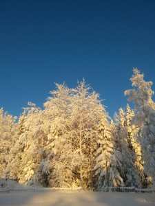 Mer snö!